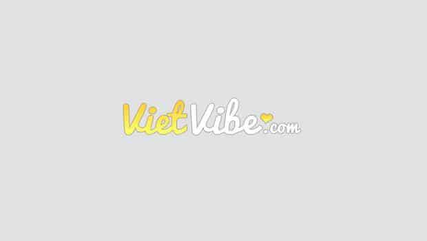 VietVibe.com logo