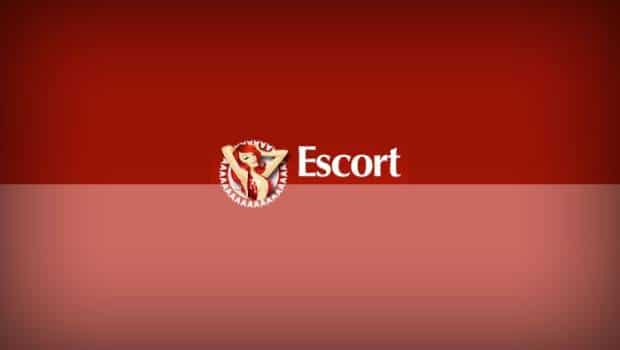 Escort.nl screenshot