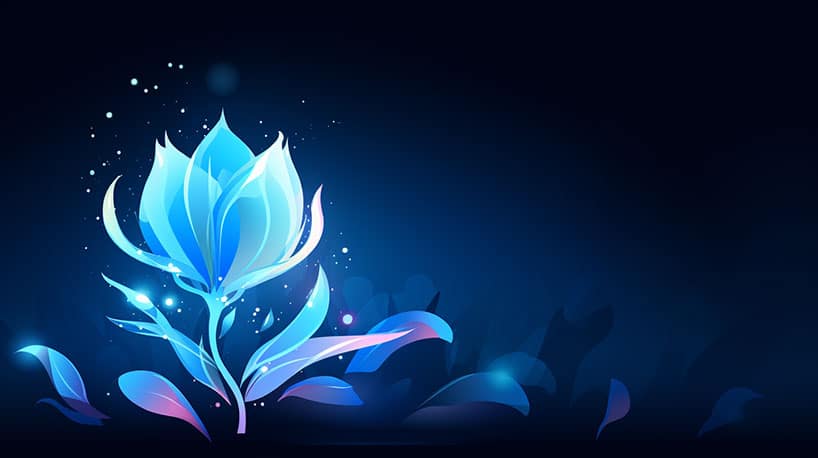 lotus liefde