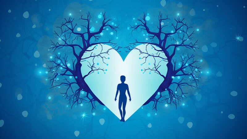 gelukkig en lang leven: Relaties als gezondheidsessentie