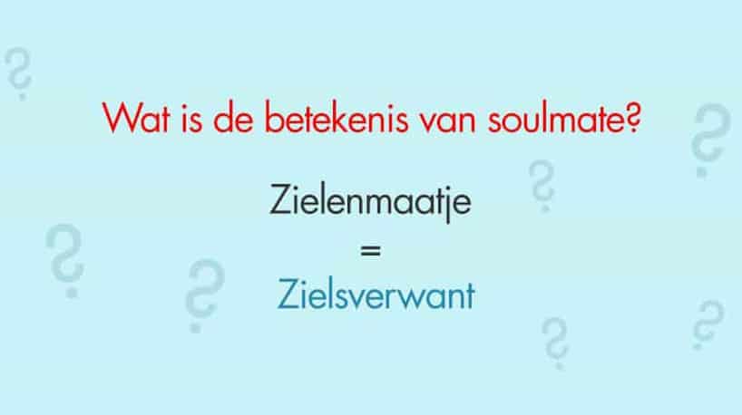 soulmate betekenis tekst