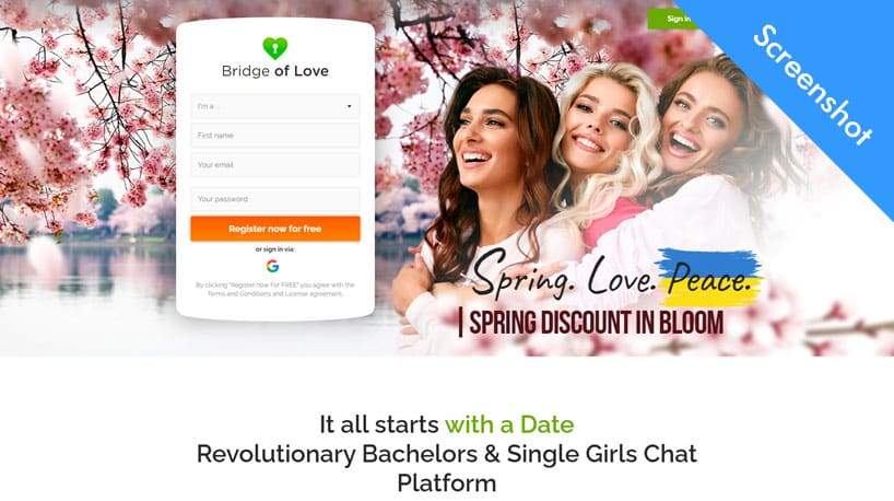 Bridge of Love screenshot